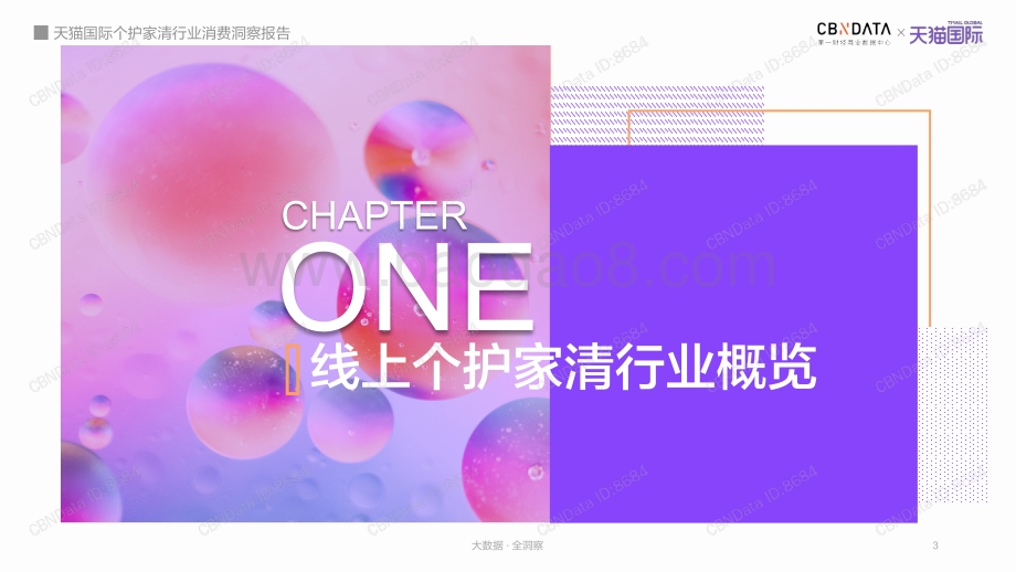 天猫国际个护家清行业消费洞察报告.pdf_第3页