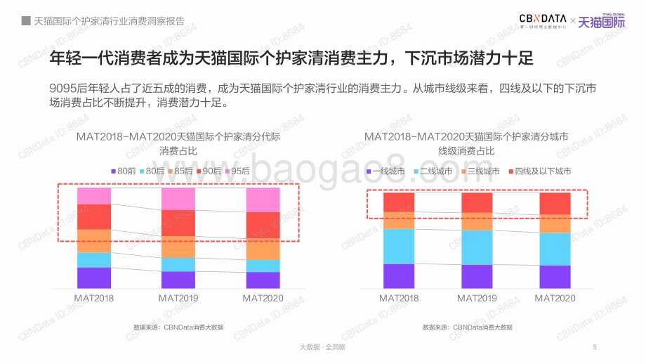 天猫国际个护家清行业消费洞察报告.pdf_第5页
