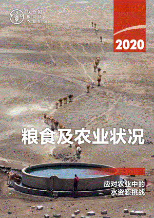 2020粮食和农业状况.pdf