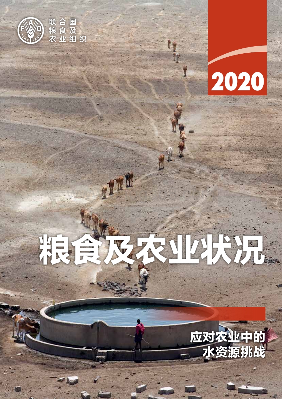 2020粮食和农业状况.pdf_第1页