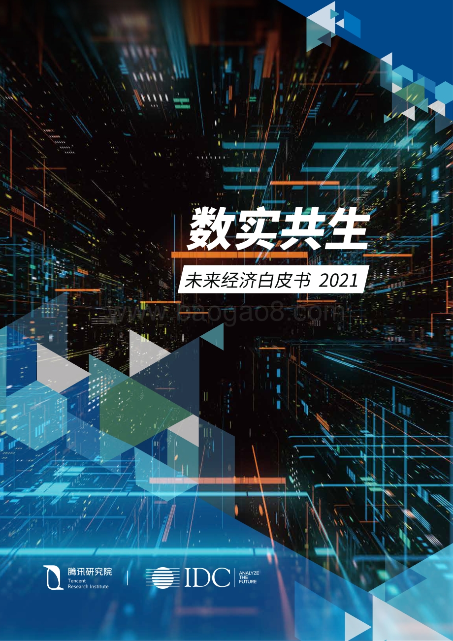 2021未来经济白皮书.pdf_第1页