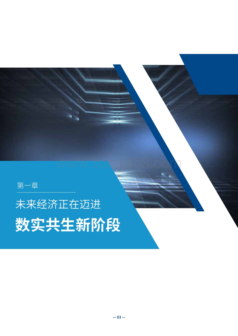 2021未来经济白皮书.pdf_第3页