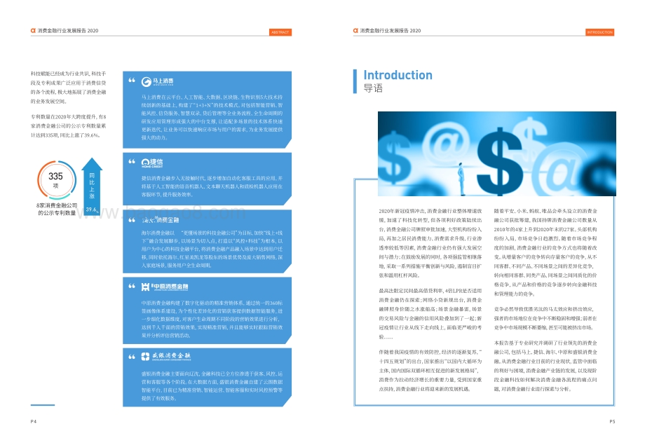 2020消费金融行业发展报告.pdf_第4页