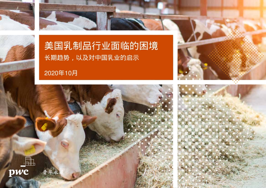 美国乳制品行业面临的困境：长期趋势以及对中国乳业的启示.pdf_第1页