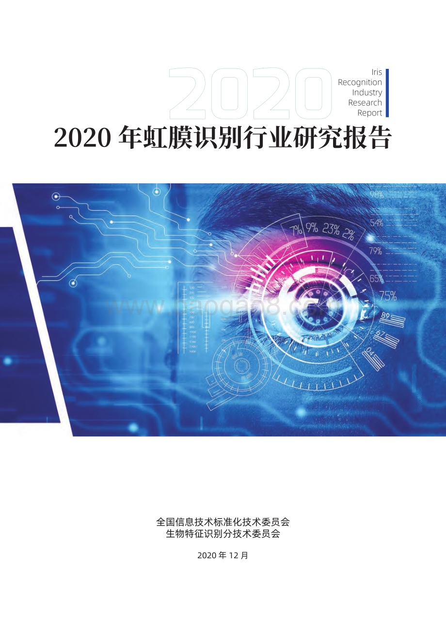 2020年虹膜识别行业研究报告.pdf_第1页