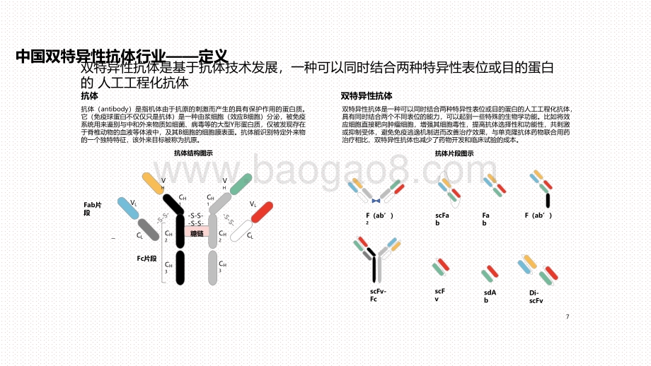 2020-2021中国双特异性抗体行业投资前景研究报告.pdf_第4页