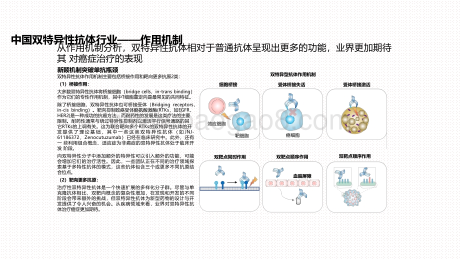 2020-2021中国双特异性抗体行业投资前景研究报告.pdf_第5页