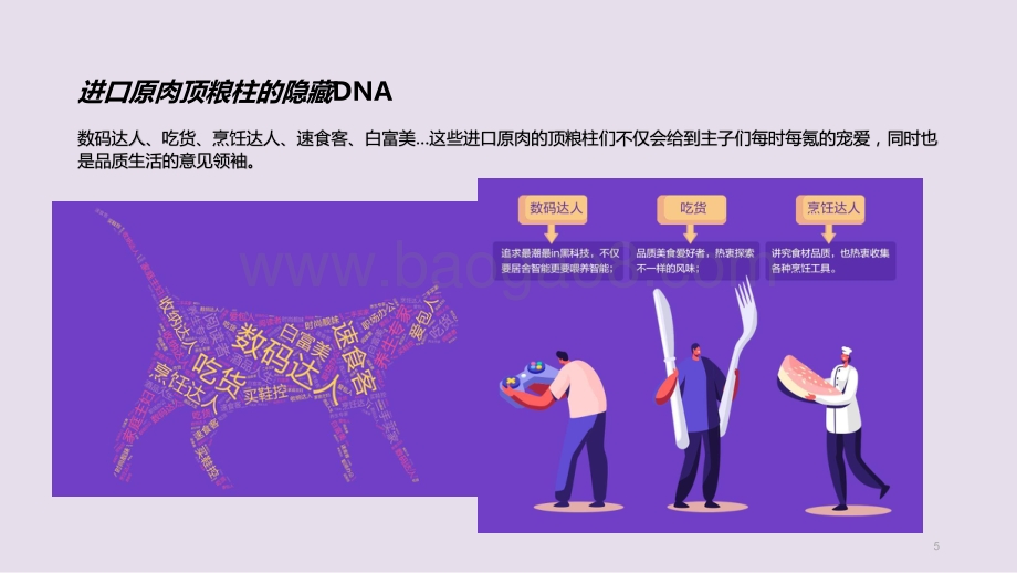 2020进口原肉粮引领宠物消费升级报告.pptx_第5页