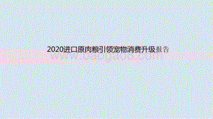 2020进口原肉粮引领宠物消费升级报告.pptx