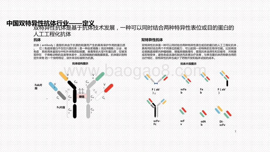 2020-2021中国双特异性抗体行业投资前景研究报告.pptx_第4页