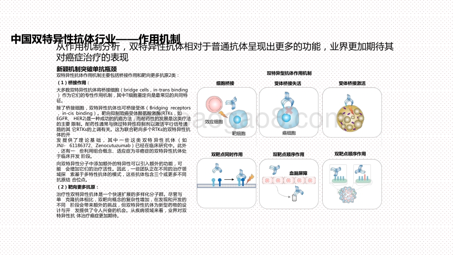 2020-2021中国双特异性抗体行业投资前景研究报告.pptx_第5页