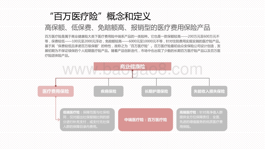 2021中国百万医疗险行业发展研究报告.pptx_第2页