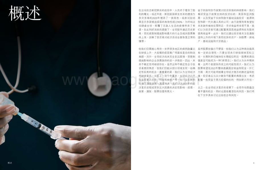 2021年度展望：乐观迎接全球经济复苏.pdf_第3页