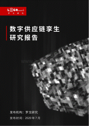 数字供应链孪生研究报告.pdf