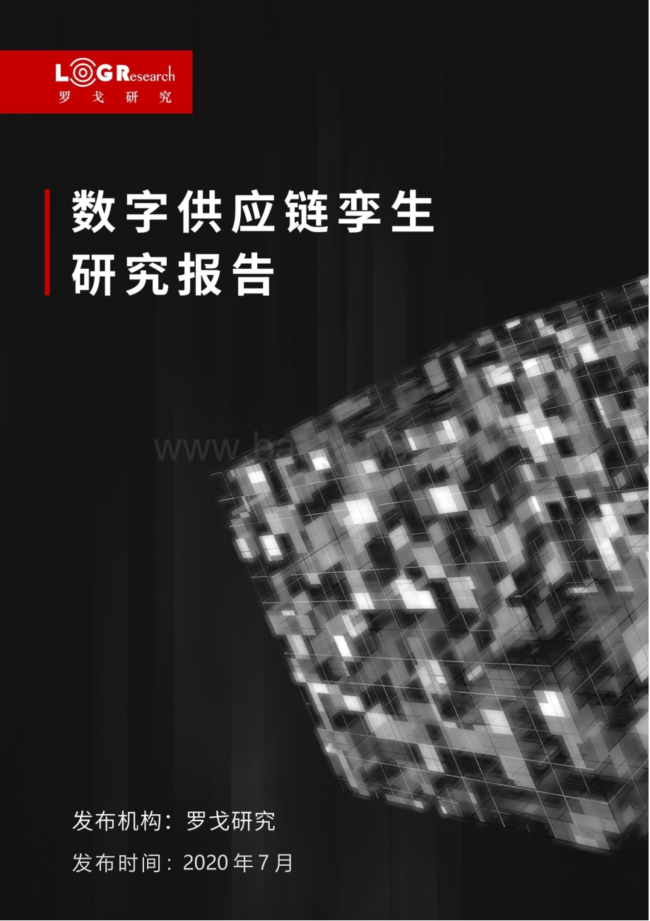 数字供应链孪生研究报告.pdf_第1页