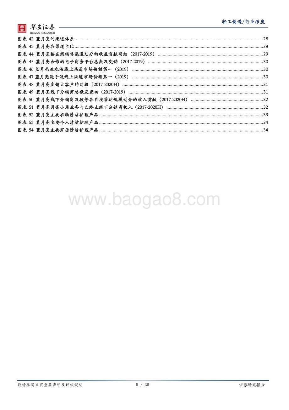 中国家清行业迭代升级蓝月亮领跑“液”时代.pdf_第5页