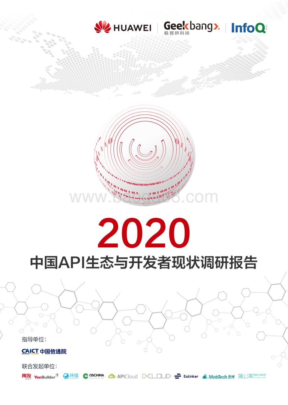 2020中国API生态与开发者现状调研报告.pdf_第1页