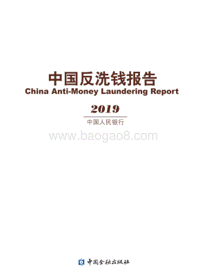 2019中国反洗钱报告.pdf