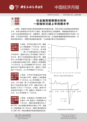 2020年第十期中国经济月报.pdf