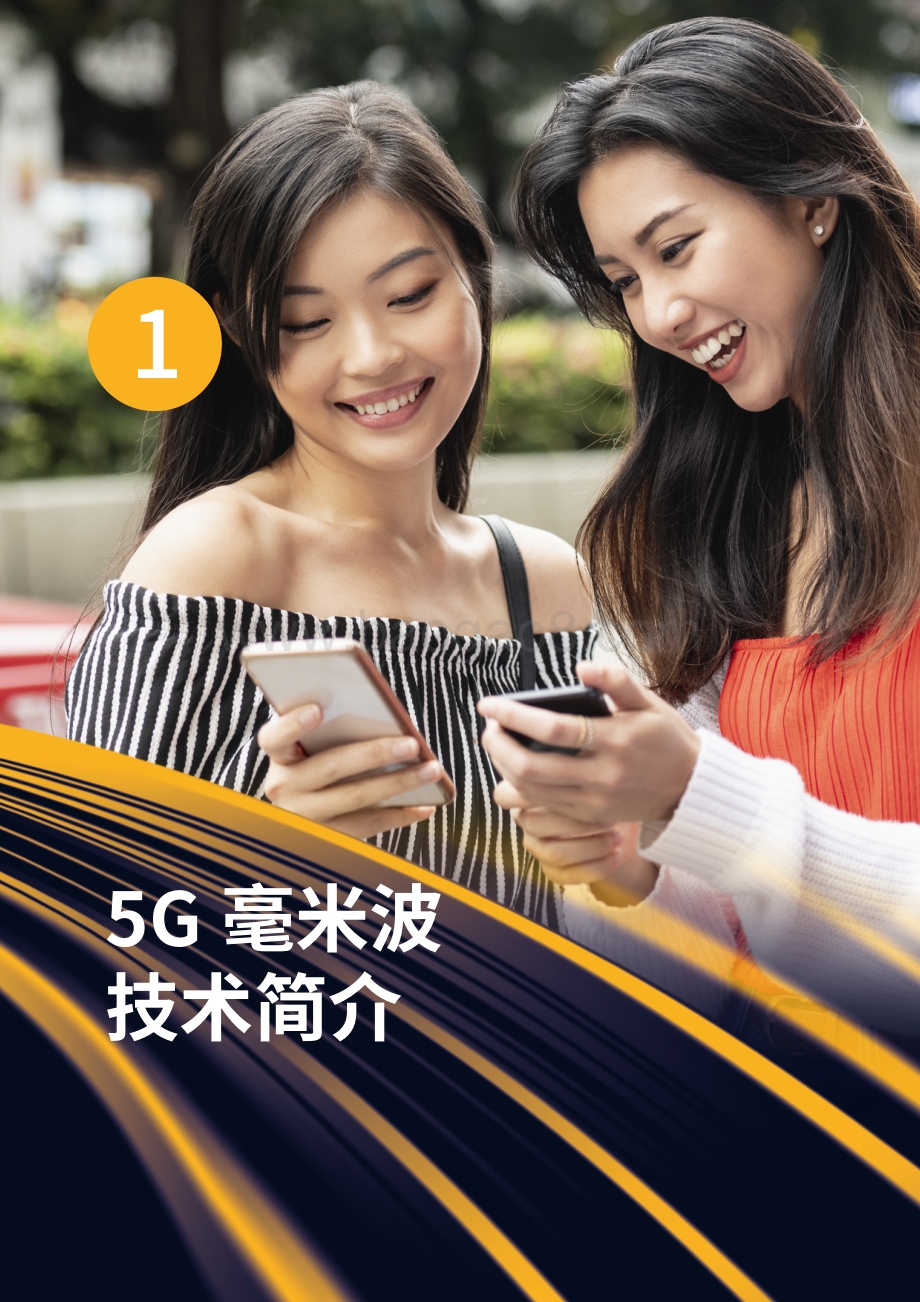 5G毫米波技术白皮书.pdf_第5页