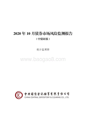 2020年10月债券市场风险监测报告.pdf