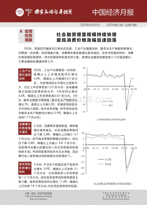 2020年第六期中国经济月报.pdf