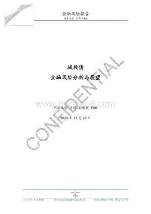 城投债金融风险分析与展望.pdf