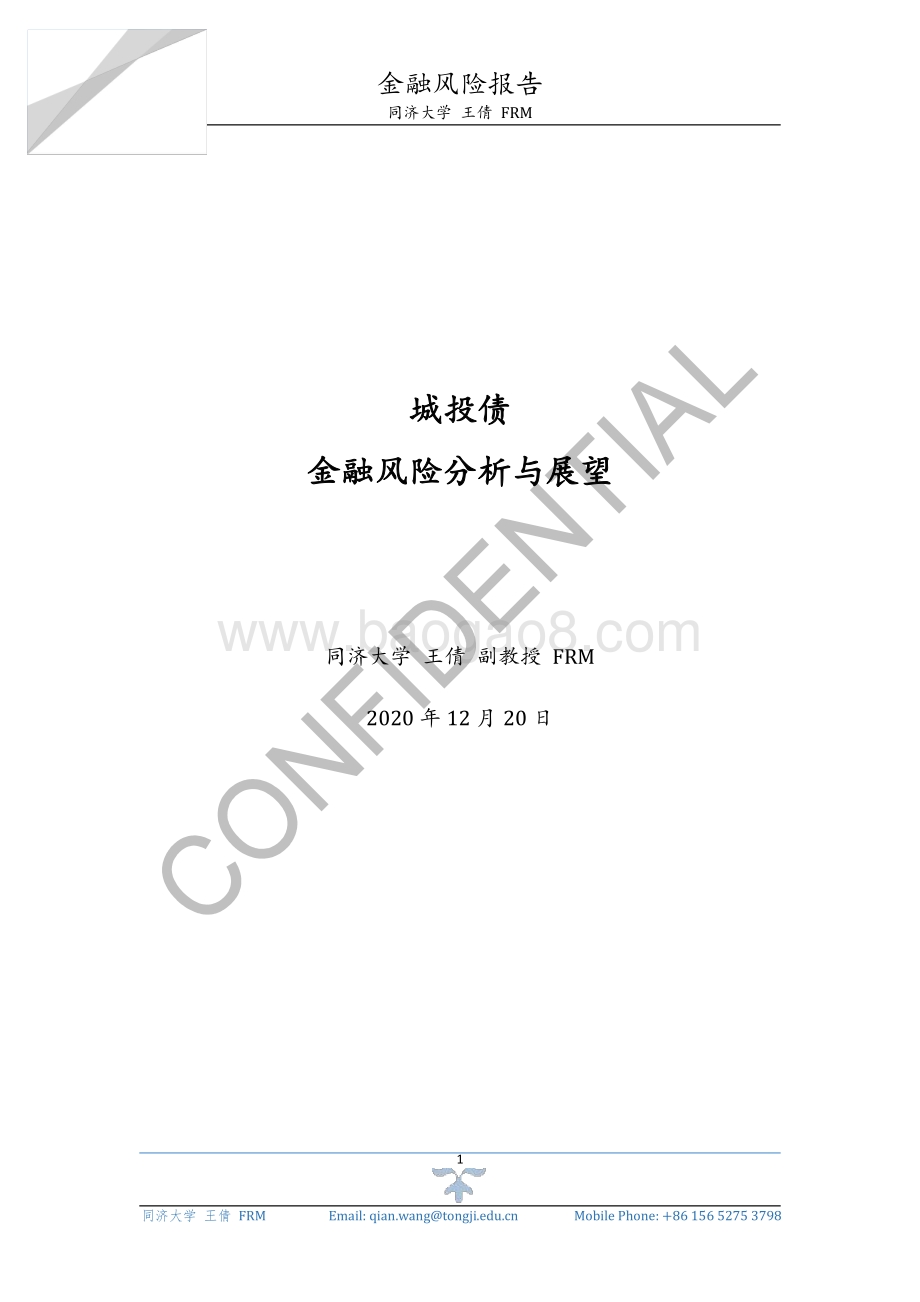 城投债金融风险分析与展望.pdf_第1页