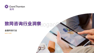 致同咨询行业洞察：金融科技行业.pdf