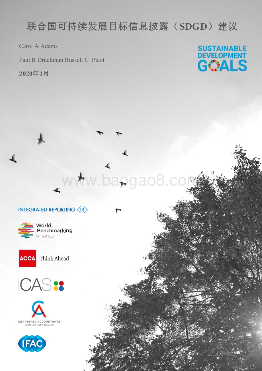 联合国可持续发展目标信息披露（SDGD）建议.pdf_第1页