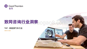 致同咨询行业洞察：新能源汽车行业.pdf