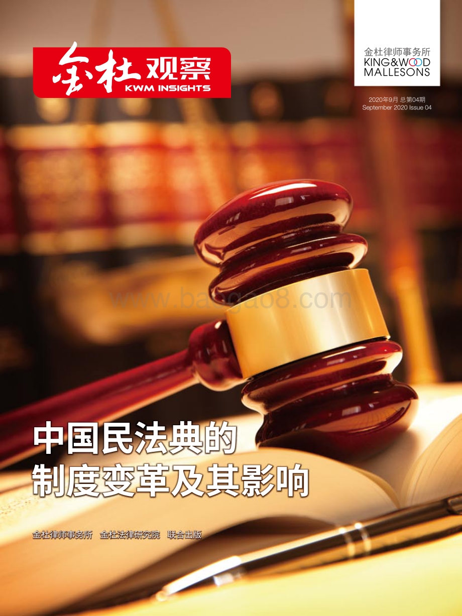 中国民法典的制度变革及其影响.pdf_第1页