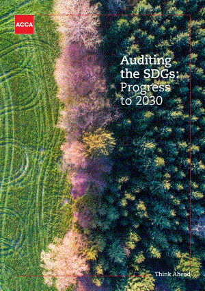 可持续发展目标审计：迈向2030年（英文版）.pdf