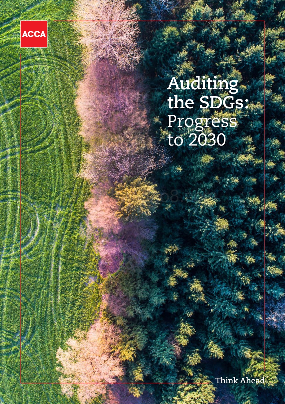 可持续发展目标审计：迈向2030年（英文版）.pdf_第1页