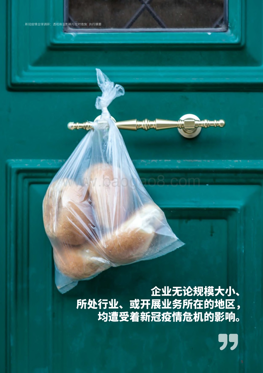 新冠疫情全球调研：透视商业影响与应对措施.pdf_第5页