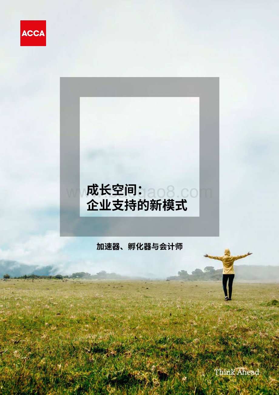 成长空间：企业支持的新模式.pdf_第1页