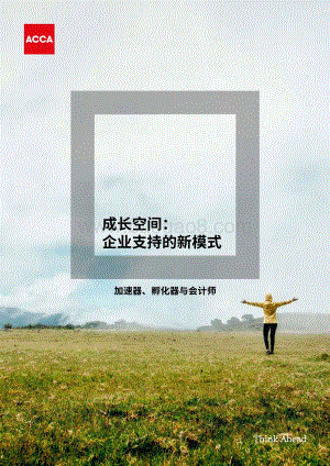 成长空间：企业支持的新模式.pdf