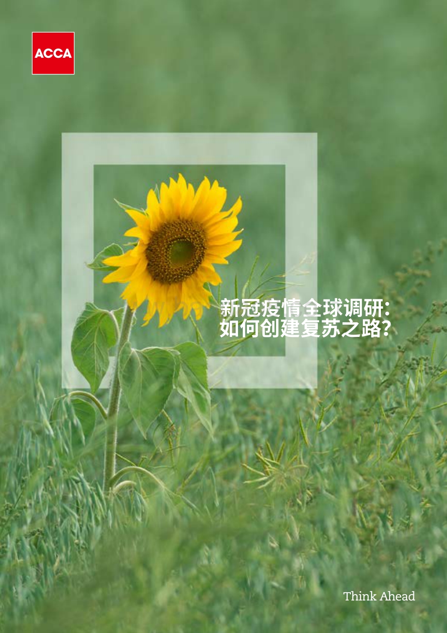 新冠疫情全球调研：如何创建复苏之路？.pdf_第1页