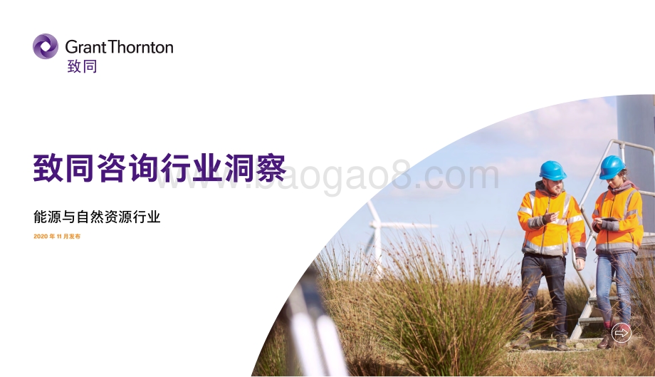 致同咨询行业洞察：能源与自然资源行业.pdf_第1页