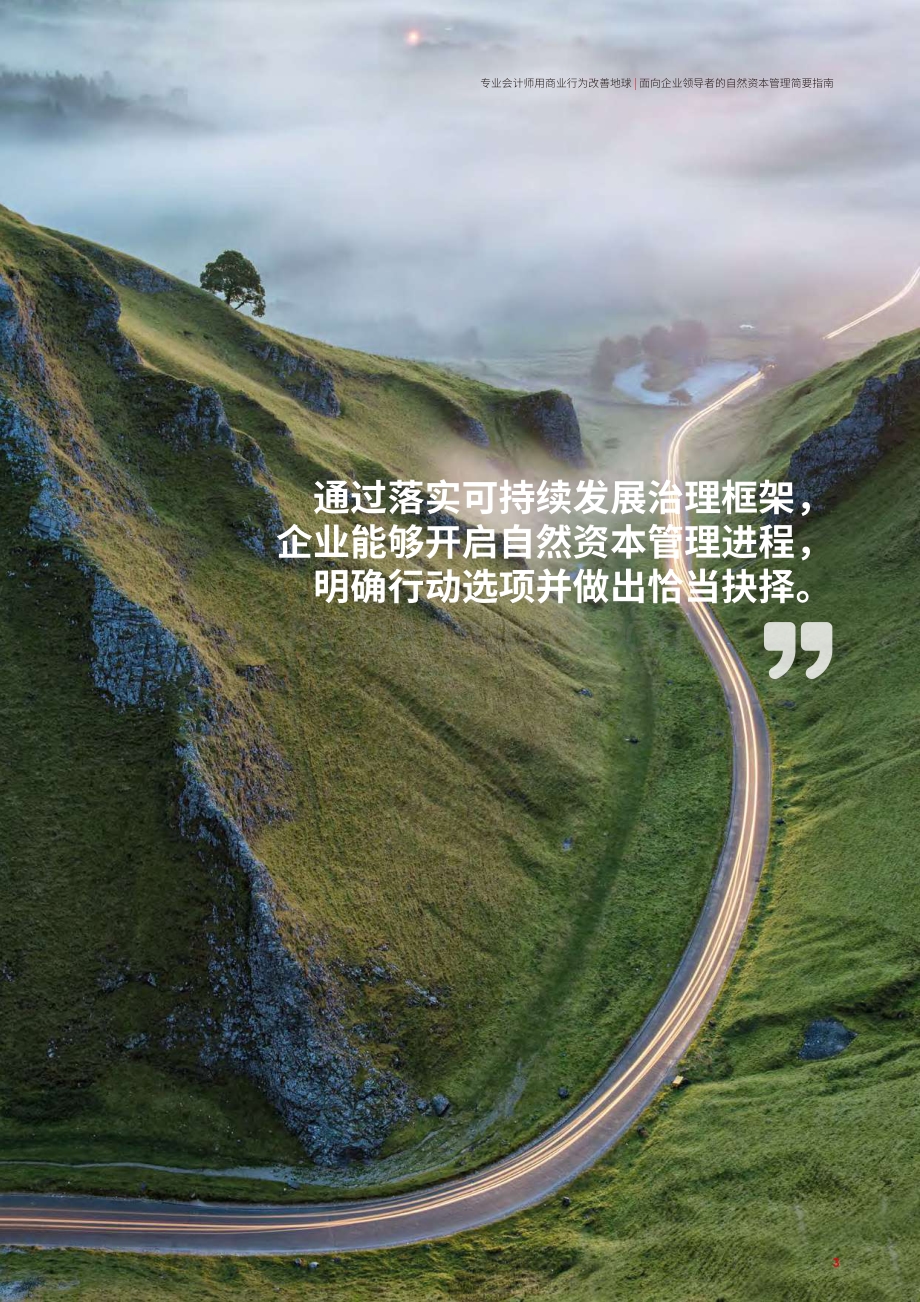 专业会计师用商业行动改善地球：面向企业领导者的自然资本管理简要指南.pdf_第3页
