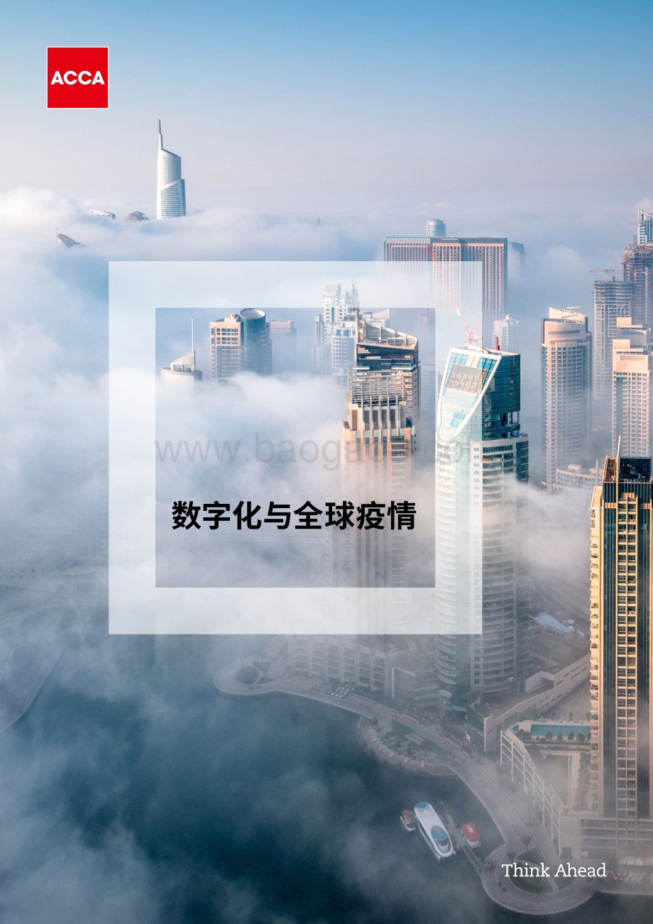 数字化与全球疫情.pdf_第1页