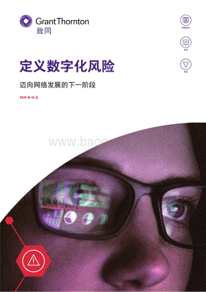 定义数字化风险：迈向网络发展的下一阶段.pdf