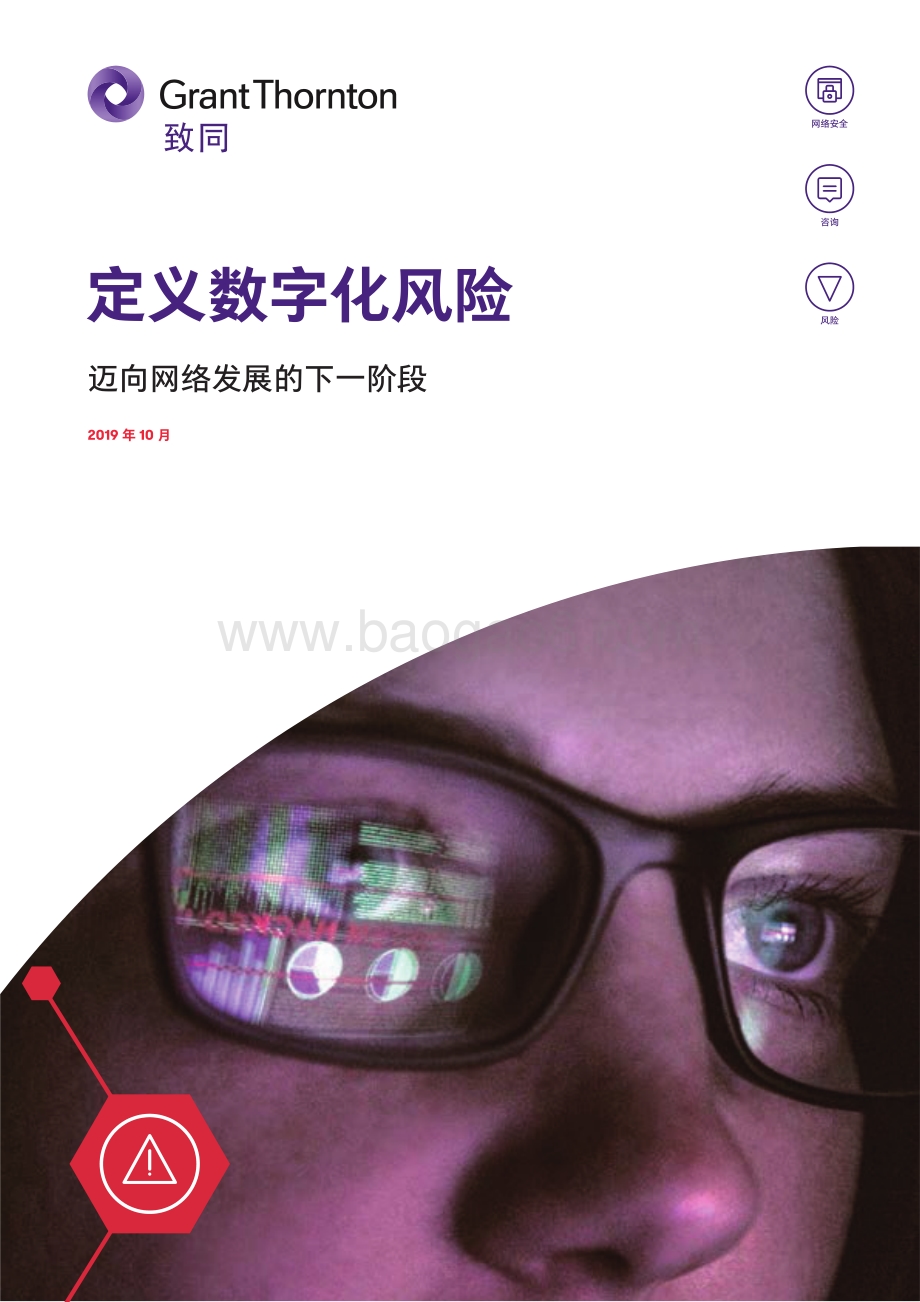 定义数字化风险：迈向网络发展的下一阶段.pdf_第1页