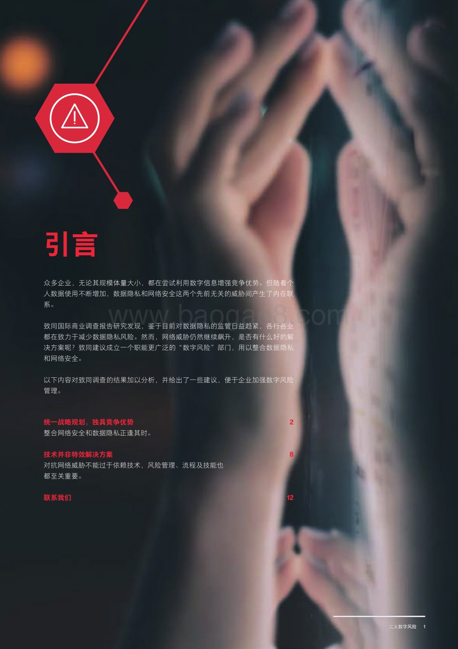 定义数字化风险：迈向网络发展的下一阶段.pdf_第3页
