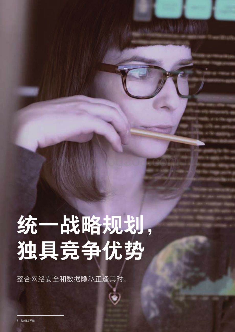 定义数字化风险：迈向网络发展的下一阶段.pdf_第4页