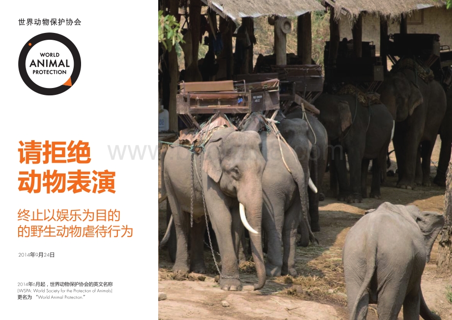 请拒绝动物表演：终止以娱乐为目的的野生动物虐待行为.pdf_第1页