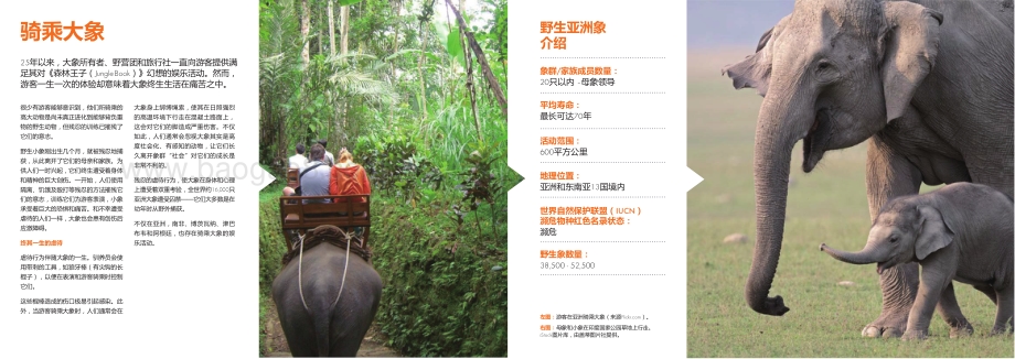 请拒绝动物表演：终止以娱乐为目的的野生动物虐待行为.pdf_第3页