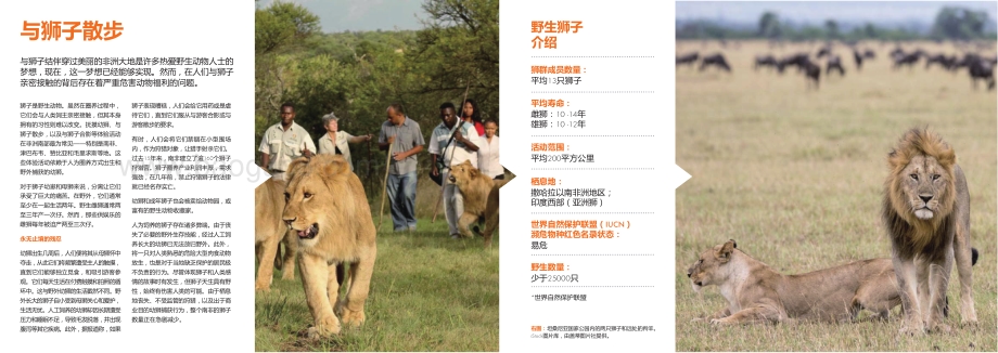 请拒绝动物表演：终止以娱乐为目的的野生动物虐待行为.pdf_第4页