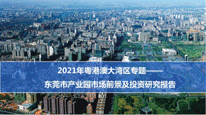 2021年东莞市产业园市场前景及投资研究报告.pdf