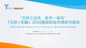 2020国货彩妆市场研究报告.pdf